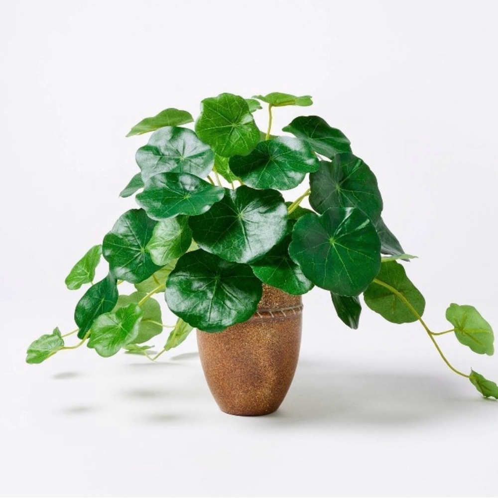 Artificial Trailing Tropaeolum Plant - Threshold designed with Studio McGee